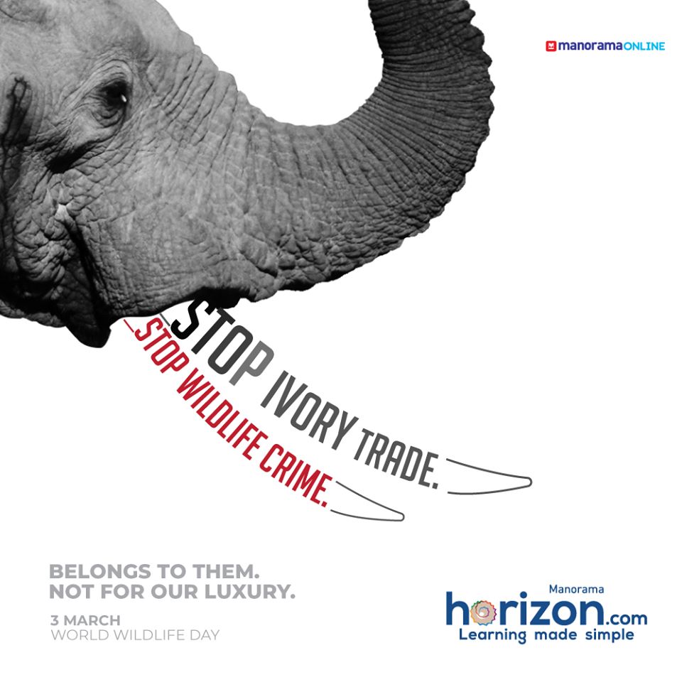 Manorama Horizon – World Wildlife Day Post